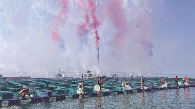 大连·平岛第十三届辽参丰收节启幕